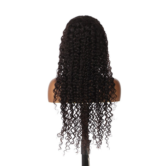 PRETTY CURLY WAVE TRANSPARENT LACE WIG
